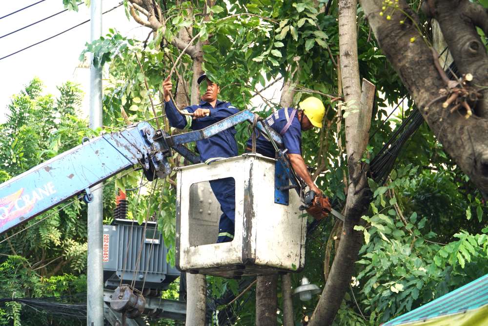 Để đảm bảo an toàn cho người đi đường, đơn vị đã huy động xe nâng để cắt tỉa, thu gọn tán cây xanh trên dọc tuyến đường nhằm tránh những rủi ro đáng tiếc có thể xảy ra.