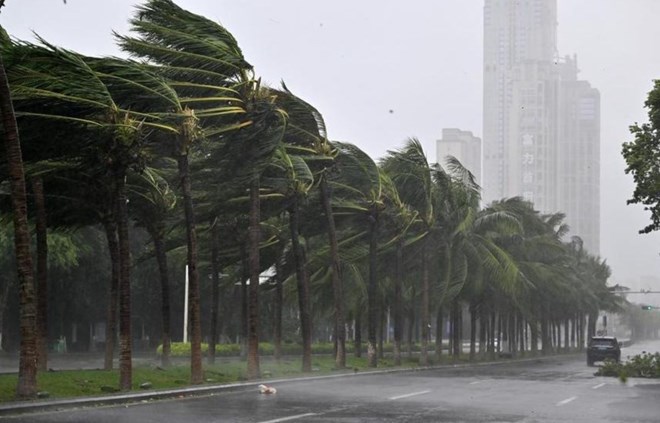 Strong winds in Haikou, Hainan, China as super typhoon Yagi makes landfall on September 6. Photo: Xinhua