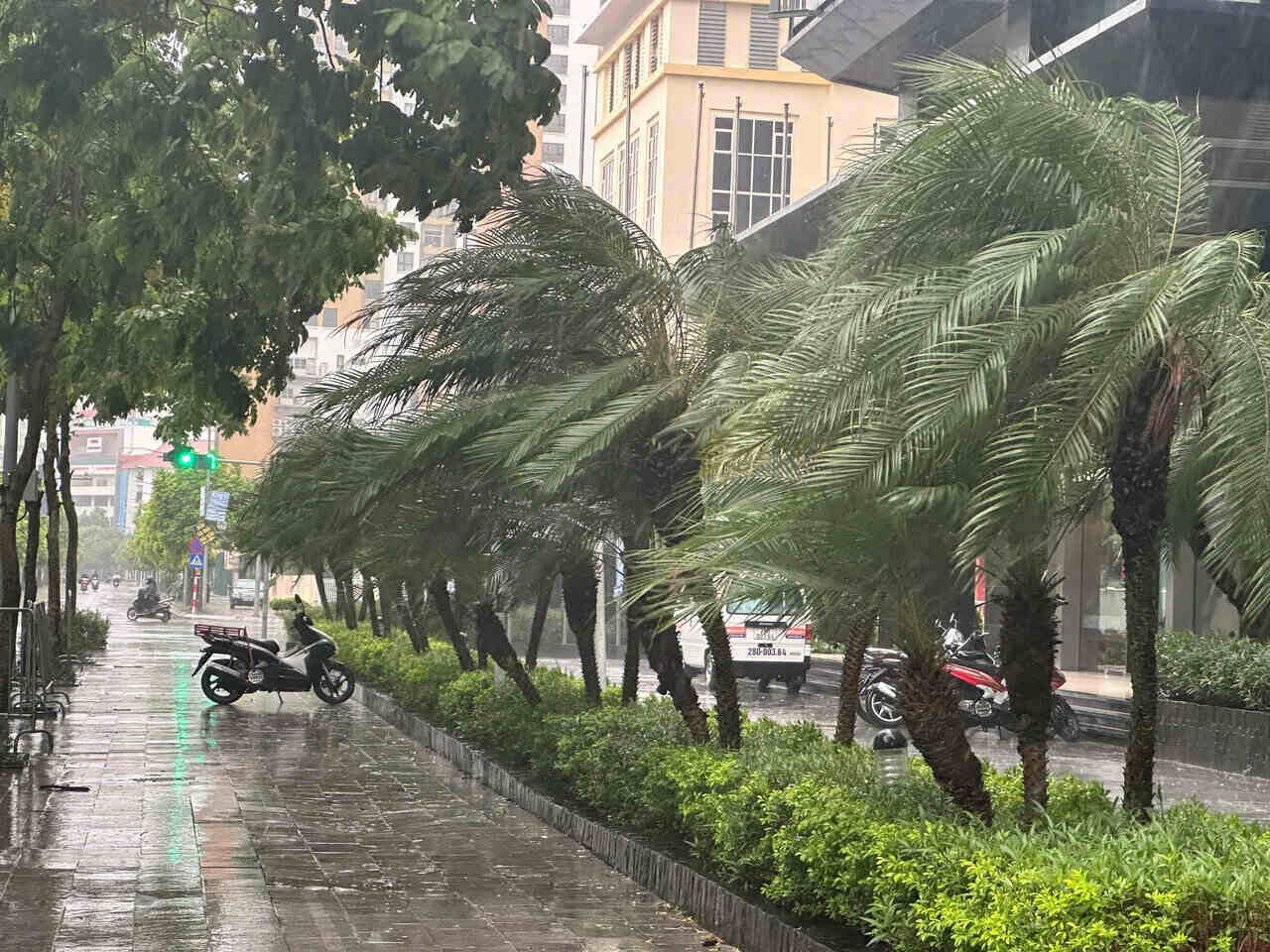 Strong winds cause trees to sway in Cau Giay district. Photo: Viet Anh