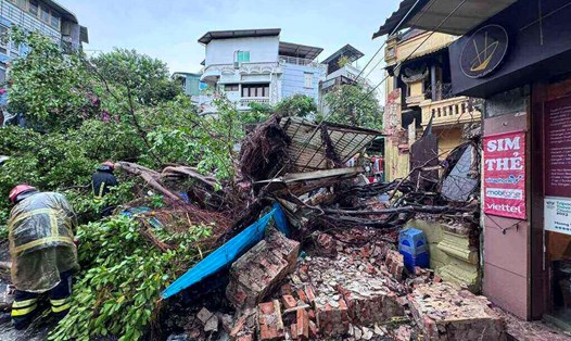 Sau cơn mưa lớn chiều 6.9, một cây cổ thụ trên phố Hàng Cá (Hoàn Kiếm, Hà Nội) bật gốc, đổ trúng bức tường phía ngoài của ngôi nhà cổ. Ảnh: Tô Thế