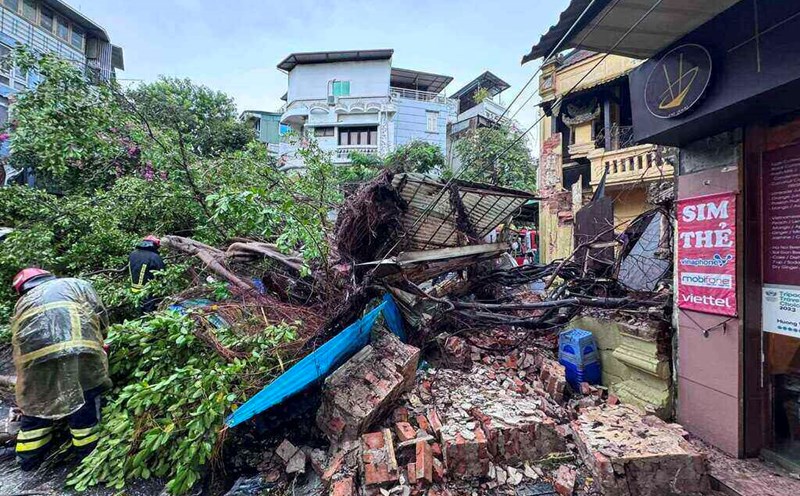 Sau cơn mưa lớn chiều 6.9, một cây cổ thụ trên phố Hàng Cá (Hoàn Kiếm, Hà Nội) bật gốc, đổ trúng bức tường phía ngoài của ngôi nhà cổ. Ảnh: Tô Thế