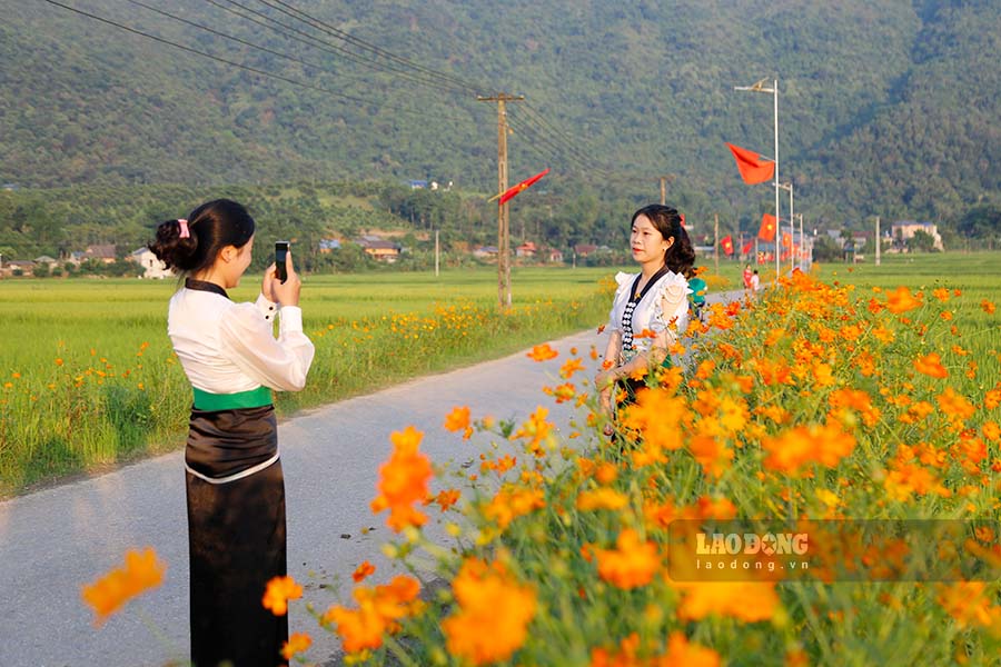 Những cô gái trong trang phục dân tộc Thái cùng nhau check-in bên con đường hoa.