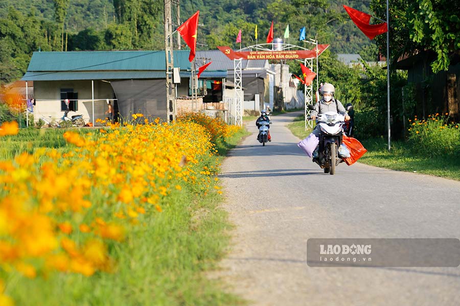 Con đường hoa không chỉ đẹp cảnh quan mà còn góp phần nâng cao đời sống tinh thần của người dân.