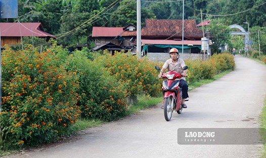 Con đường hoa ngũ sắc từ Quốc lộ 279 vào bản Lói, xã Quài Tở. Ảnh: Quang Đạt