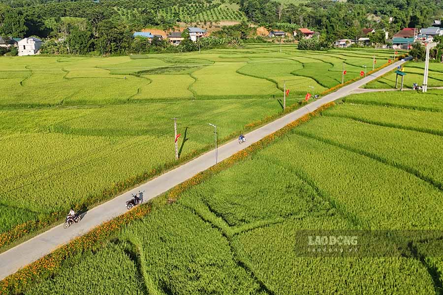 Con đường hoa vào xã Ẳng Cang với hơn 1km rực rỡ sắc màu. Ảnh: Quang Đạt 