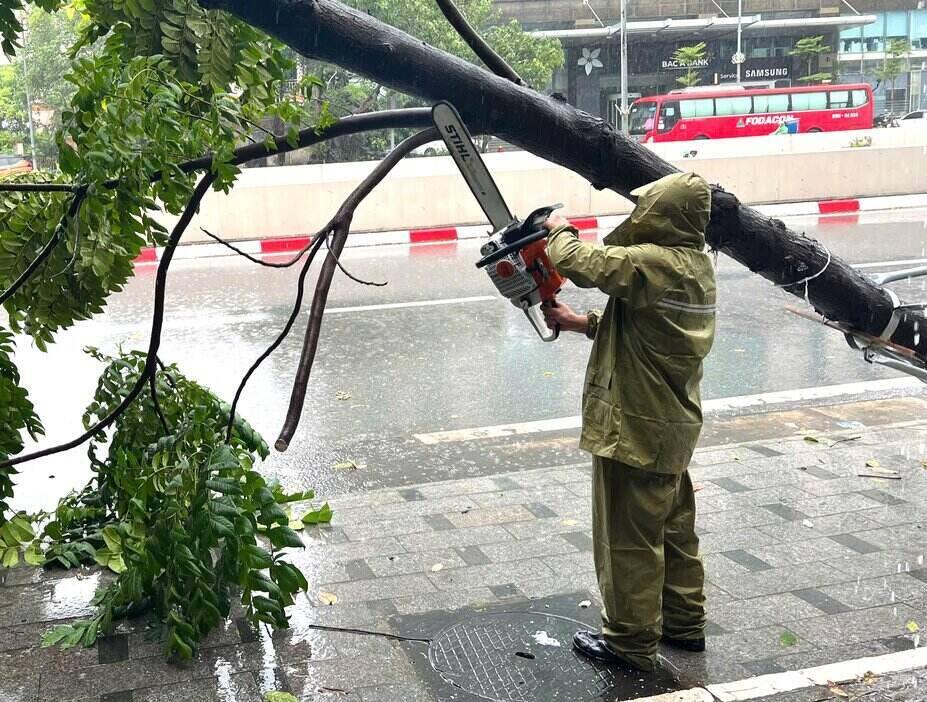 Nhân viên Công ty Công viên cây xanh Hà Nội và lực lượng dân quân tự vệ xử lý cây bị gãy đổ, giải phóng hiện trường. Ảnh: Hoàng Lộc 