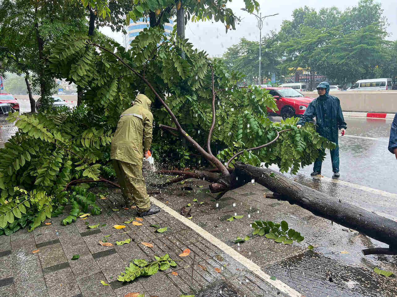 According to Lao Dong reporters this afternoon (September 7), due to the impact of storm No. 3 Yagi, on some streets in Hanoi there were heavy thunderstorms with heavy rain and strong winds, causing many trees to be uprooted and broken. Photo: Hoang Loc