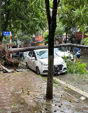 A tree fell on a car parked on Duong Van Be Street (Hai Ba Trung District). Photo: Thu Phuong