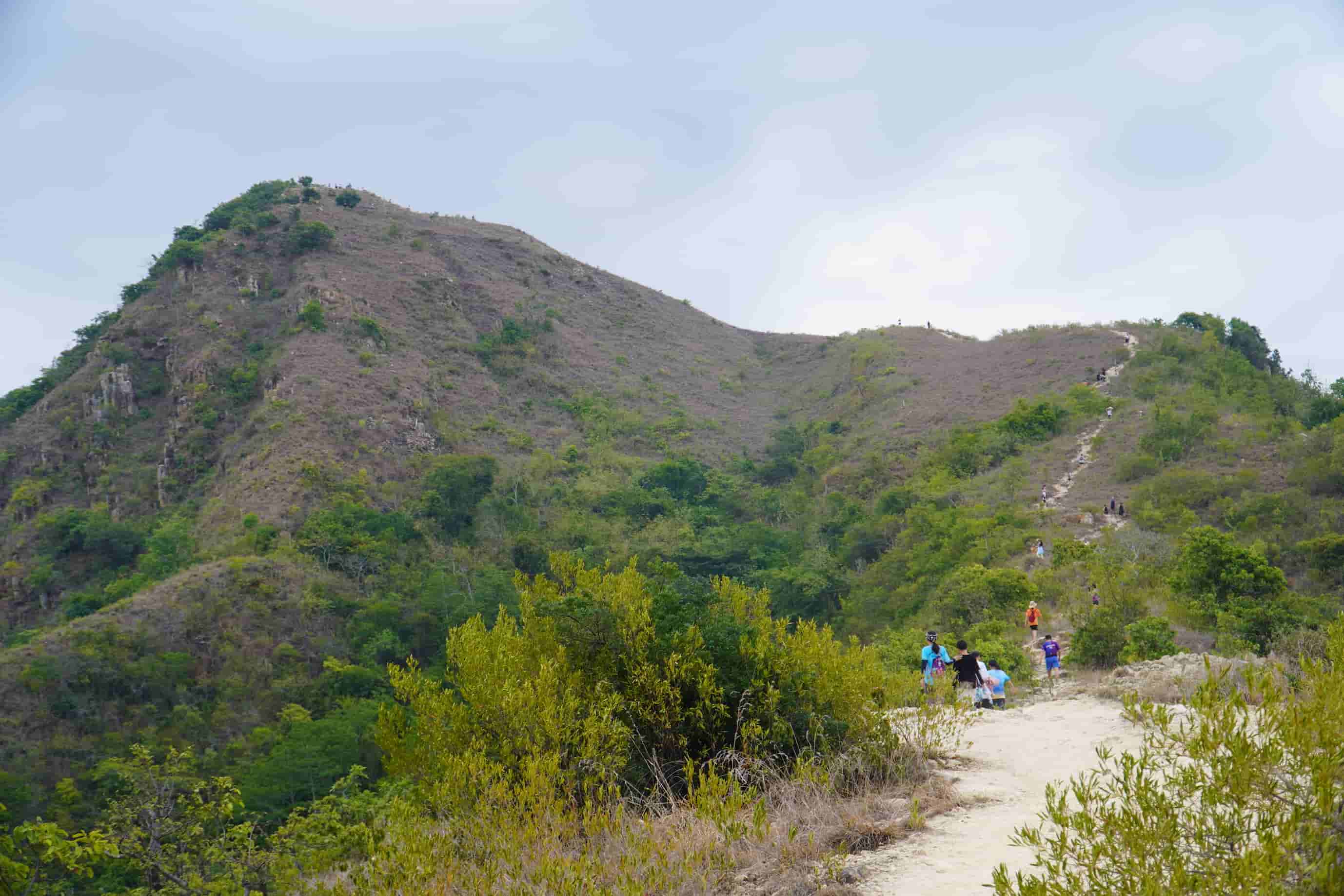 Mỗi tuần, rất đông người dân đi theo từng đoàn trekking núi để trồng cây, ngắm cảnh và xuống núi sau khi thành phố lên đèn. Một số người chọn ở lại cắm trại qua đêm.