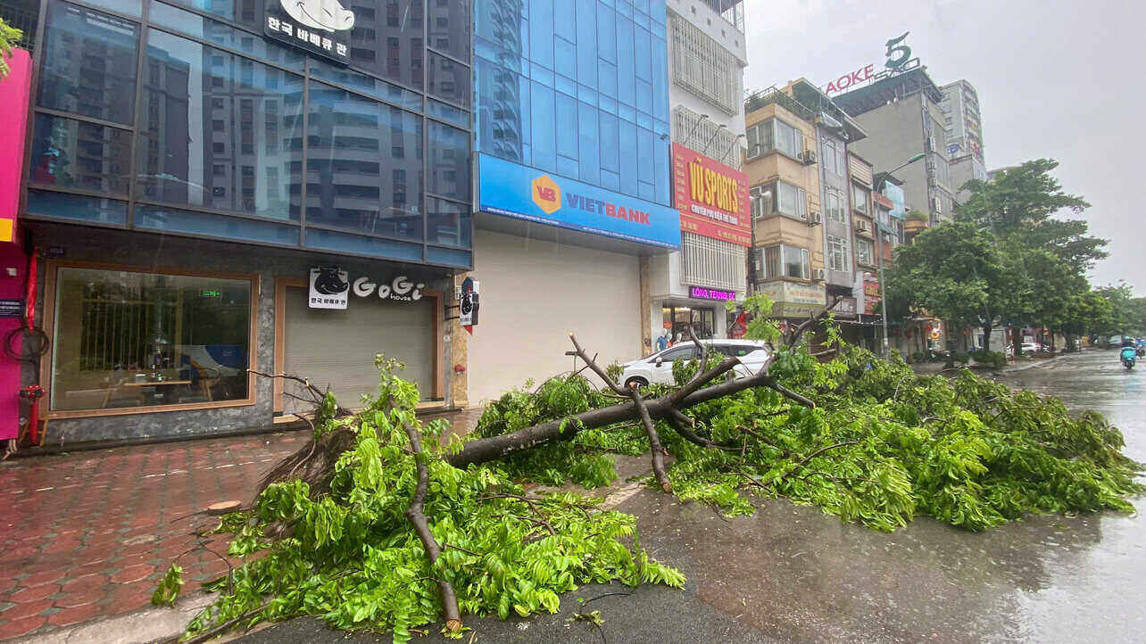 Gió to, cây xanh gãy đổ vào sáng 7.9 trên đường Tân Mai (quận Hoàng Mai, Hà Nội). Ảnh: Hạnh Thơm