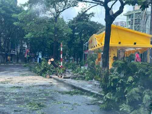 Trên địa bàn quận Cầu Giấy, Hà Nội, có nhiều cây xanh gãy, đổ. Ảnh: Sơn Anh