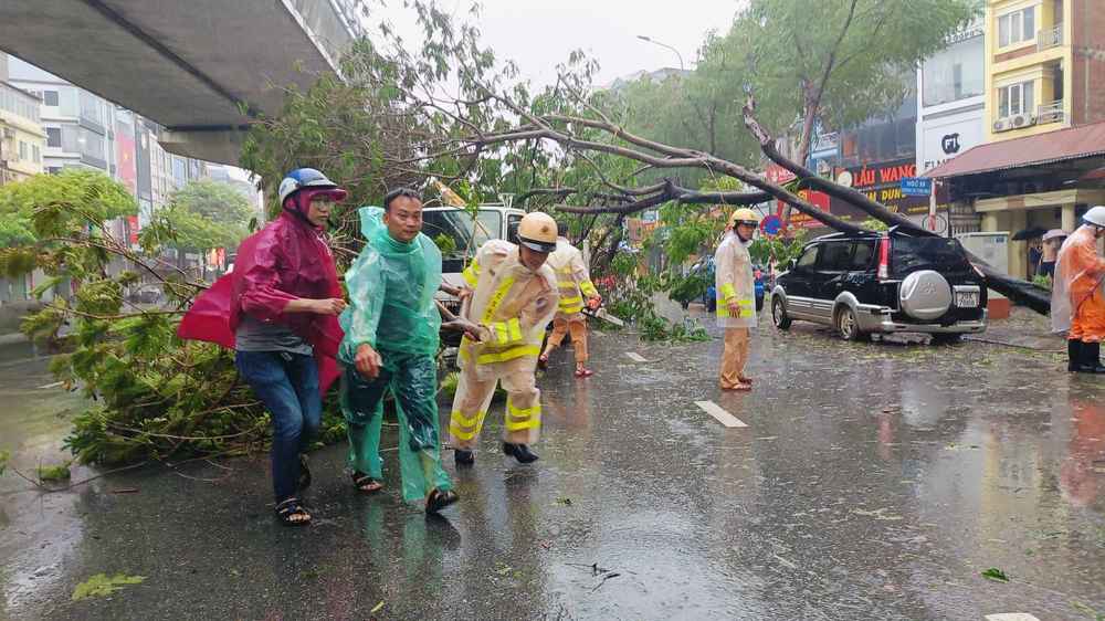 Gió to, nhiều cây tại khu vực Khu đô thị Tổng cục 5 (Yên Xá, Tân Triều, Hà Nội) gãy đổ.