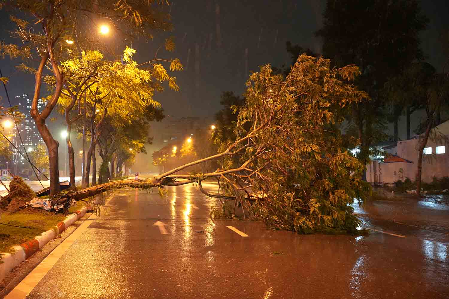 Cây xanh đổ xuống đường khiến việc đi lại của người dân bị ảnh hưởng. Ảnh: Hữu Chánh