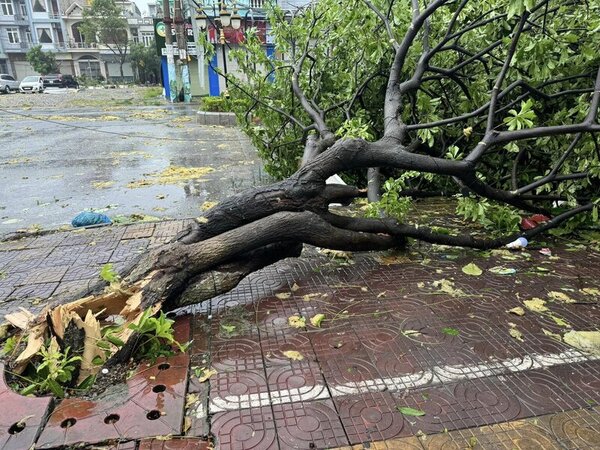 According to the 3 p.m. bulletin on September 7, from the National Center for Hydro-Meteorological Forecasting, due to the influence of storm No. 3, Bach Long Vi Island has strong winds of level 13, gusts of level 14; Co To Island has strong winds of level 13, gusts of level 16; Bai Chay (Quang Ninh) has strong winds of level 14, gusts of level 17.