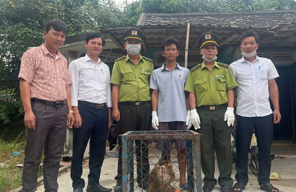 Lực lượng chức năng tiếp nhận cá thể khỉ quý hiếm thả về môi trường tự nhiên. Ảnh: H. Dũng.