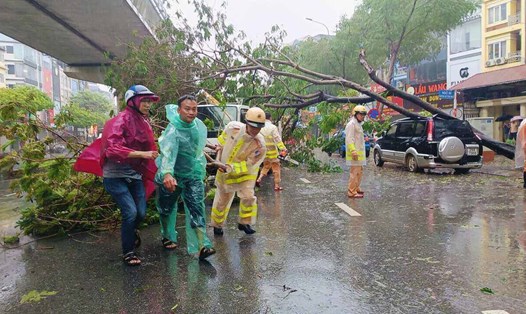 Mưa lớn kèm gió giật mạnh do ảnh hưởng của bão số 3 vào chiều 7.9 ở Hà Nội đã khiến nhiều cây xanh bật gốc, gãy đổ trên đường, nhiều nơi bị cắt điện. Ảnh: Hữu Chánh