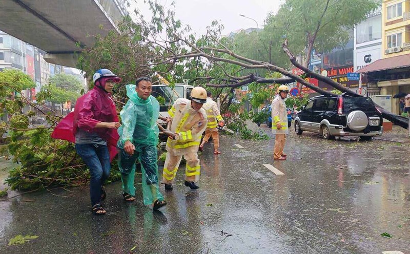 Mưa lớn kèm gió giật mạnh do ảnh hưởng của bão số 3 vào chiều 7.9 ở Hà Nội đã khiến nhiều cây xanh bật gốc, gãy đổ trên đường, nhiều nơi bị cắt điện. Ảnh: Hữu Chánh