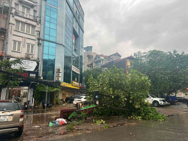 Storm No. 3 caused strong winds that knocked down trees in Me Tri, Nam Tu Liem district, Hanoi. Photo: Dinh Hiep