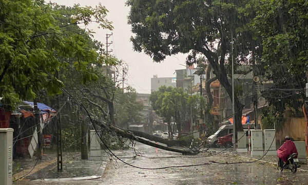 Cây xanh và cột điện bị gãy, đổ ở TP Bắc Giang do bão số 3. Ảnh: UBND tỉnh Bắc Giang

