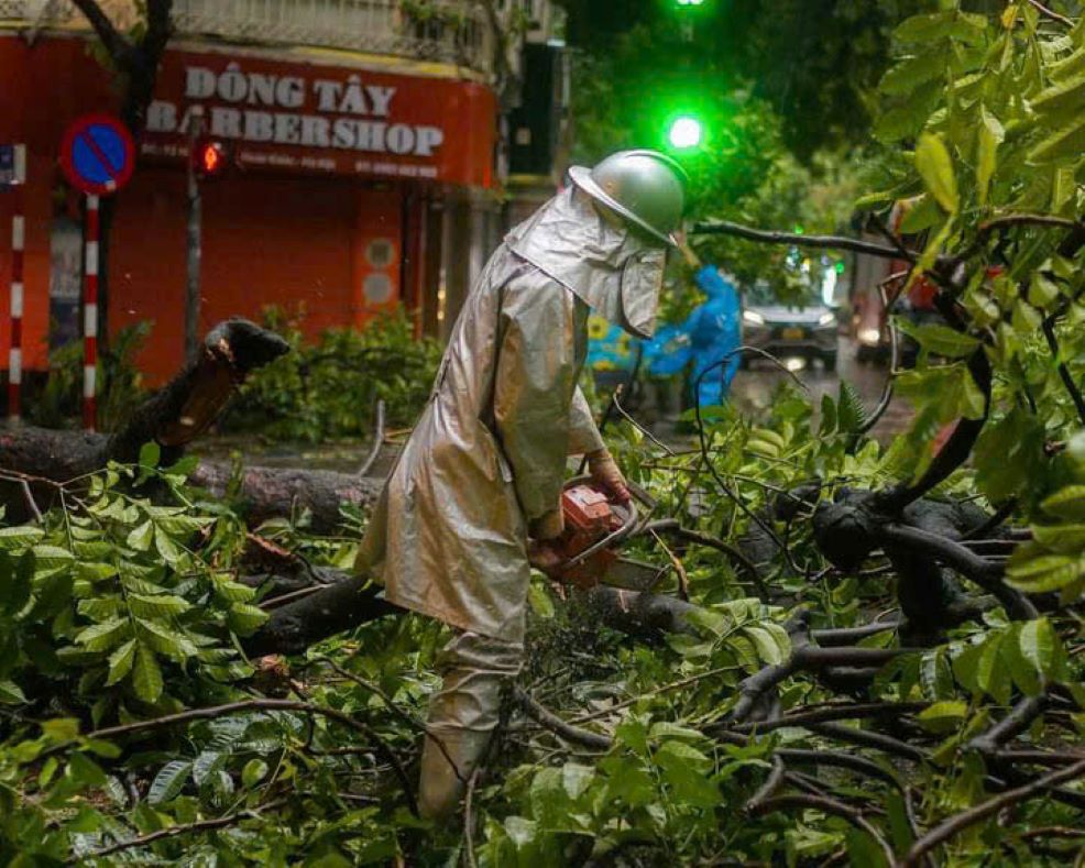 Lực lượng chức năng dọn dẹp cây đổ trên phố Hàng Bông trong mưa lớn, gió giật do ảnh hưởng của bão số 3 Yagi. Ảnh: James Aitken