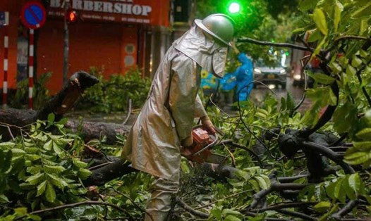 Lực lượng chức năng dọn dẹp cây đổ trên phố Hàng Bông trong mưa lớn, gió giật do ảnh hưởng của bão số 3 Yagi. Ảnh: James Aitken