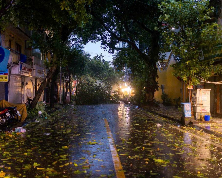 The strong winds show no signs of stopping. Photo: James Aitken