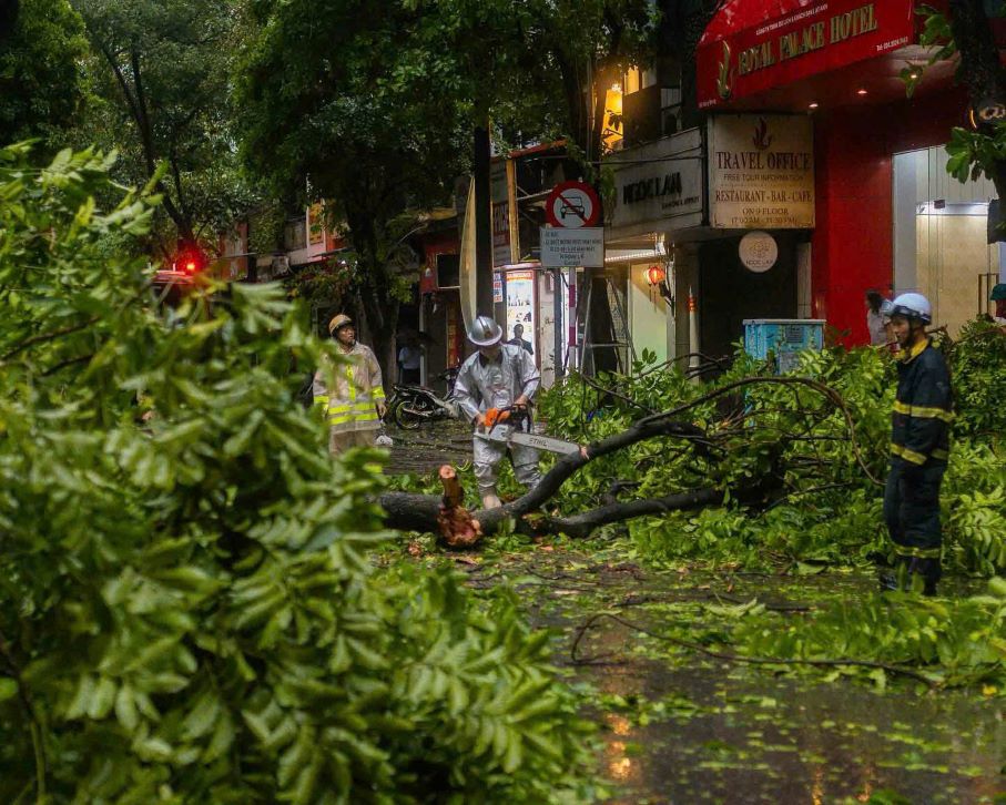 Fallen trees being cleared. Photo: James Aitken
