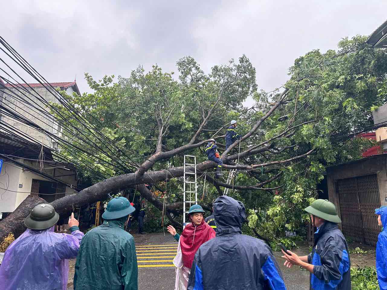 Công an quận Hà Đông giúp dân chống bão, kịp thời xử lý cây xanh bị gãy đổ đảm bảo an toàn cho người dân