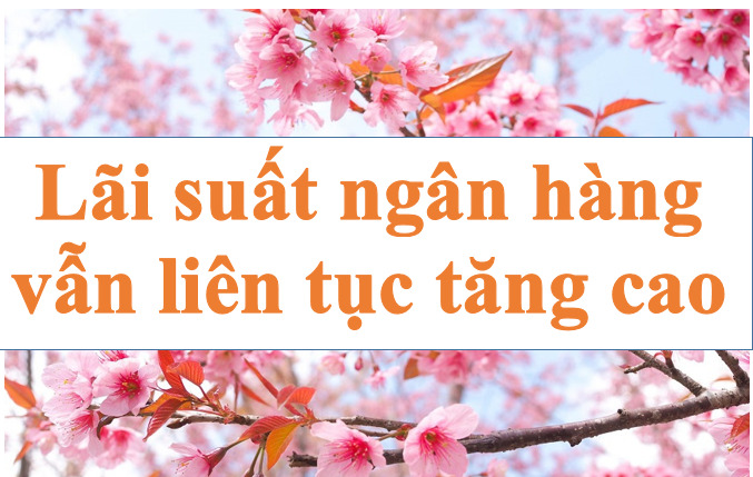 Lãi suất ngân hàng liên tục tăng cao. Ảnh minh họa: Hà Vy