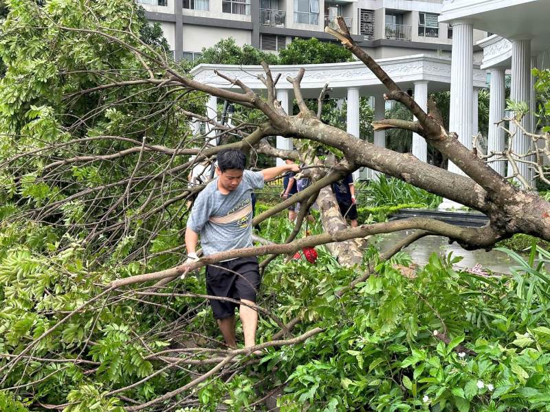 Từ 15h30 ngày 6.9 đến 6h30 ngày 8.9, cơn bão số 3 đã gây ra những thiệt hại đáng kể trên địa bàn quận Nam Từ Liêm: 557 cây đổ, nhiều điểm ngập sâu đến 60cm, cơ sở hạ tầng hư hỏng, thiệt hại tài sản của người dân. Ảnh: Phương Anh  Lực lượng chức năng dọn dẹp cây đổ trên đường Hàm Nghi (Quận Nam Từ Liêm, Hà Nội) lúc 9h sáng 8.9. Ảnh: Phương Anh 