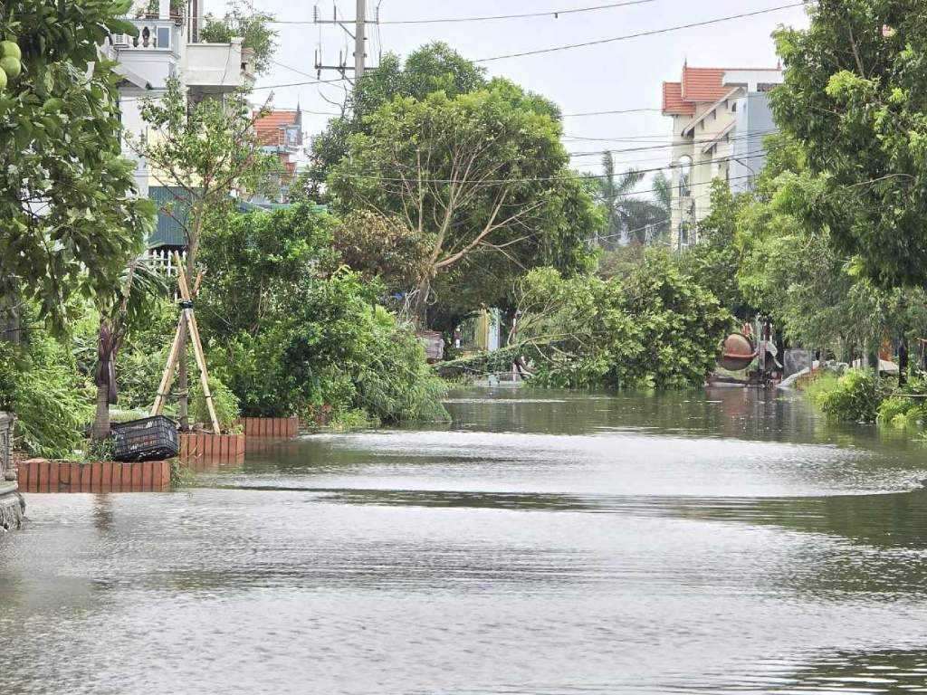 Nhiều tuyến phố như Chu Đình Ngạn, Tân Hưng ở thị trấn Tiền Hải (huyện Tiền Hải, tỉnh Thái Bình) bị ngập sâu trong nước. Ảnh: Trung Du