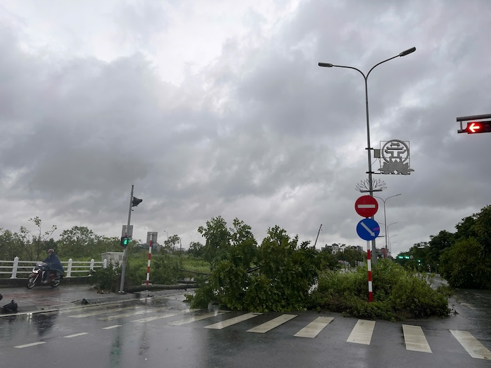 Trees fell in large numbers, blocking the road in Viet Hung (Long Bien), forcing people to climb onto the sidewalk and turn around. Photo: Hoai Anh