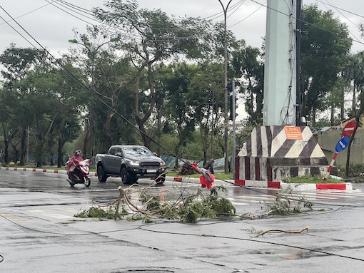 Không chỉ cây xanh, đường dây điện cũng bị đổ rạp tại đường Mễ Trì. Ảnh: Hiệp Nguyễn. 