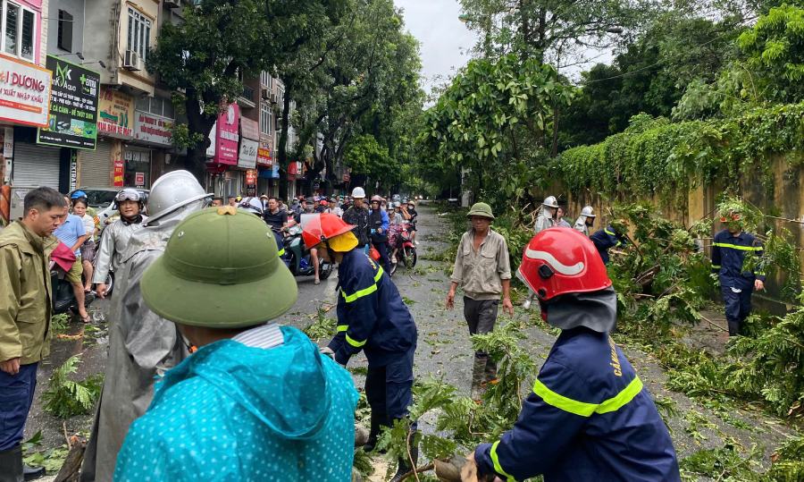 Hoạt động