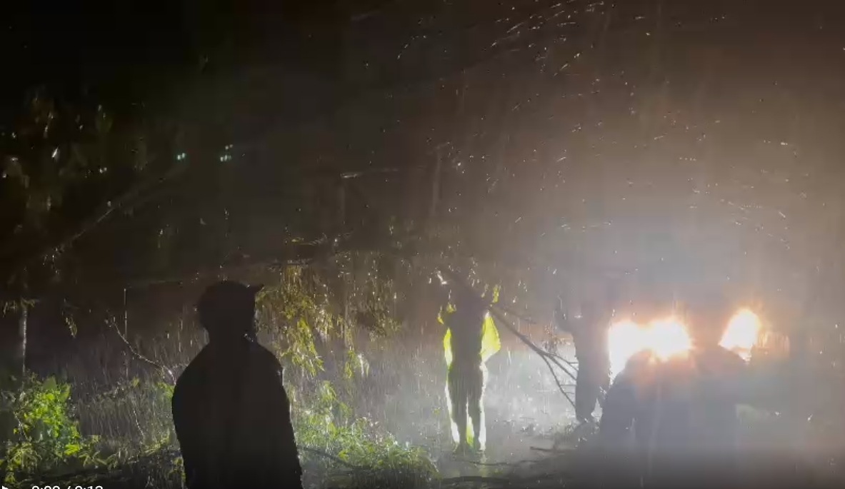 In Hanoi, storm No. 3 made landfall, knocking down a series of trees and causing many problems with the power grid. Electricians in the capital rushed to work, trying to restore power to the people in time.