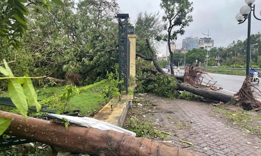Cảnh tượng tan hoang, cây đổ ngổn ngang sau cơn bão số 3. Ảnh: Hoàng Xuyến/ Tùng Giang.