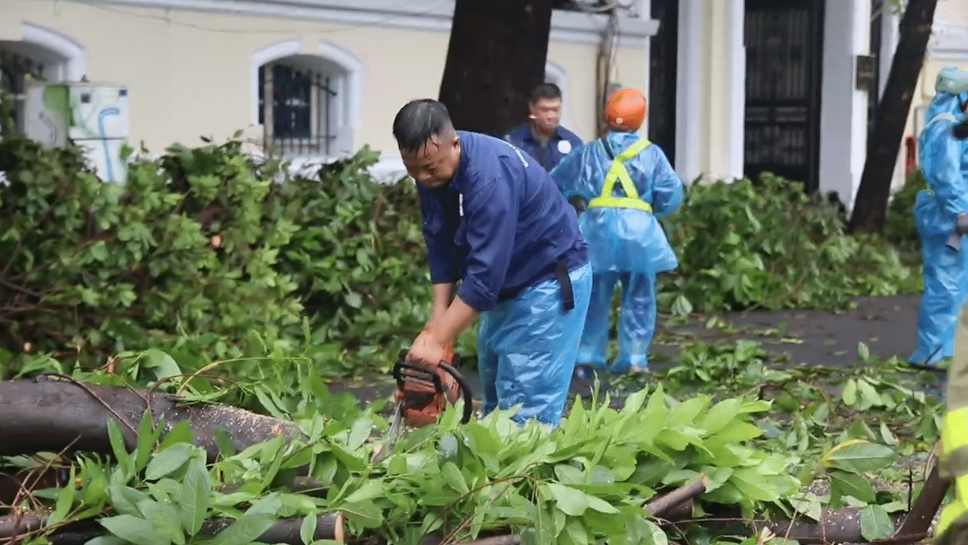 Hà Nội dồn toàn lực dọn dẹp cây xanh gãy đổ sau bão số 3