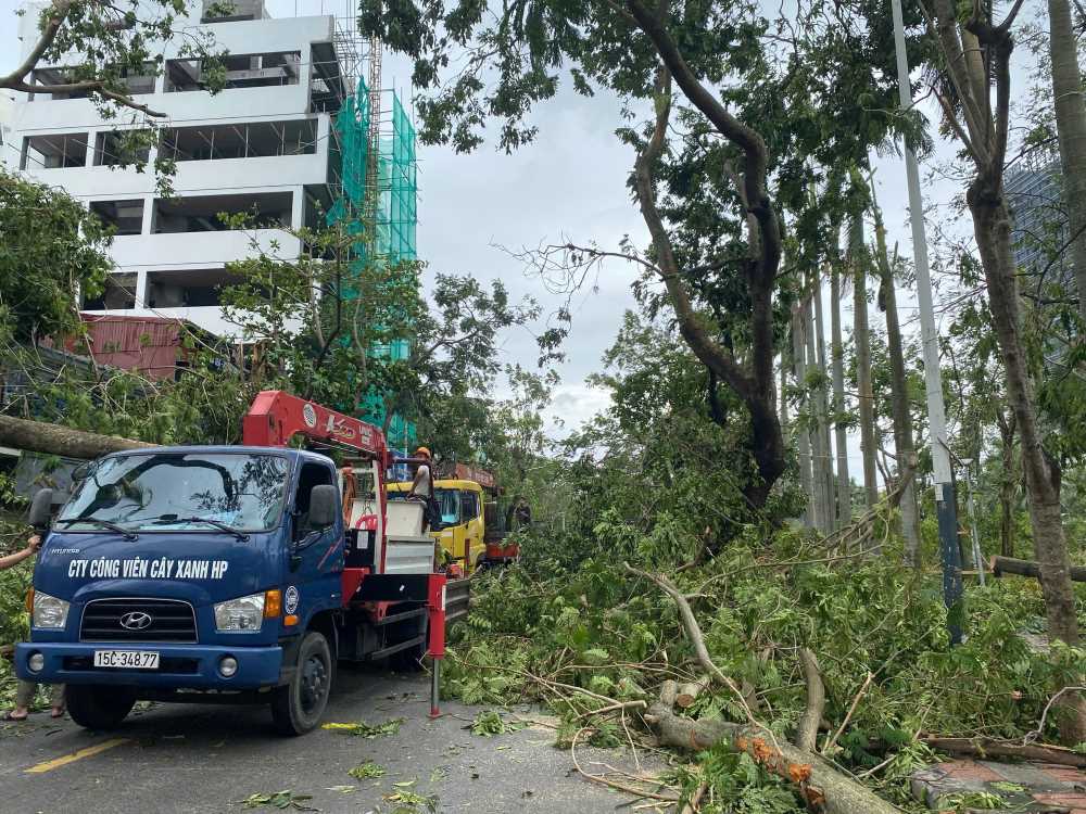 At the meeting on the morning of September 8, the Hai Phong Party Secretary also requested the Department of Construction to direct and fix the situation of fallen and broken trees. It is necessary to check which trees can be fixed, because planting a tall tree is not easy and quick. Units must quickly count the amount of damage, including urgently fixing telecommunications, electricity, water, traffic, and environmental problems. The City Party Secretary requested that sectors and localities must take all measures to ensure smooth traffic, to be completed by tomorrow.