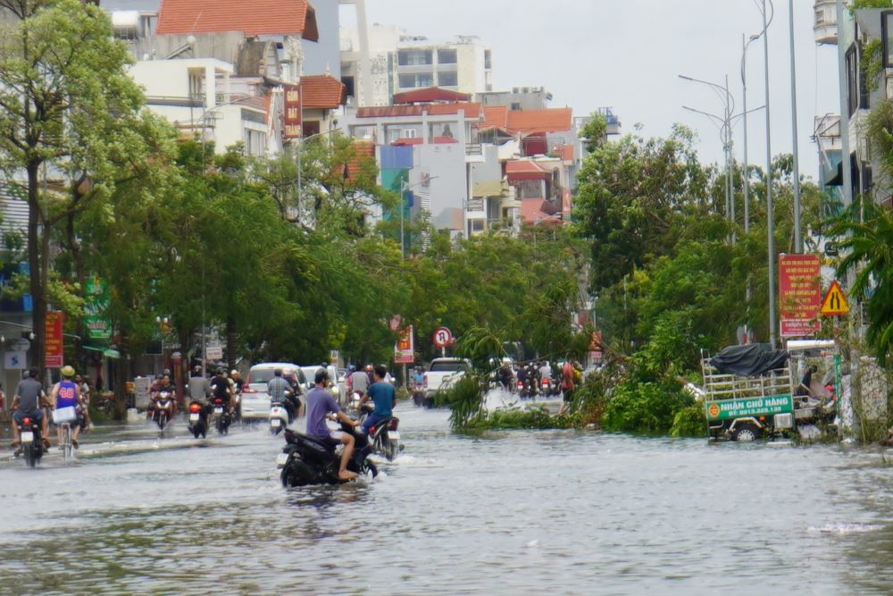 Many vehicles had difficulty moving through Lach Tray Street because most of the road was flooded and trees were blocking the way.