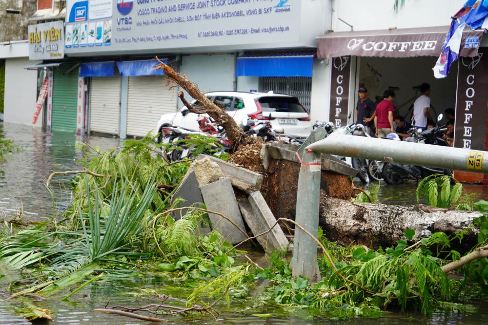 Lach Tray Street (Ngo Quyen District) is still flooded as of noon today. Many trees, old trees, traffic lights, and street lights have fallen down.