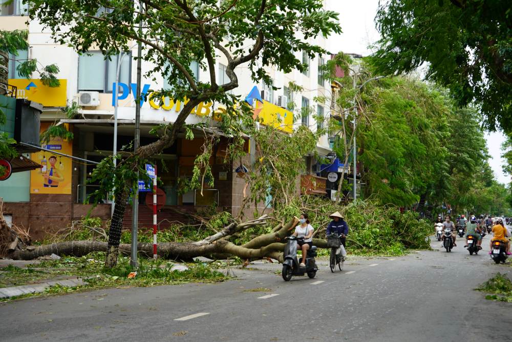 Phố phường Hải Phòng tan hoang sau bão số 3. Ảnh: Mai Dung