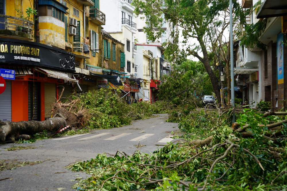 In the city center, many streets were devastated by storm number 3, isolated when a series of trees fell.