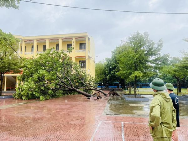 15h30: Hải Phòng tiếp tục cho học sinh nghỉ học để khắc phục hậu quả bão số 3 Chiều 8.9, Sở Giáo dục Đào tạo TP Hải Phòng thông báo học sinh toàn thành phố tiếp tục nghỉ học ngày 9.9 cho đến khi có thông báo mới. Nguyên nhân là do các trường tập trung khắc phục hậu quả sau bão; điều kiện an toàn giao thông, điện, nước, vệ sinh môi trường... chưa đảm bảo.  Sở yêu cầu các trường huy động lực lượng tại chỗ khẩn trương dọn dẹp cảnh quan, khắc phục hậu quả sau bão; kiểm kê, thống kê thiệt hại do bão gây ra. Cùng với đó, đề xuất sửa chữa cơ sở vật chất sau bão, ưu tiên sửa chữa trước phòng học. Các đơn vị chủ động khắc phục thiệt hại về cơ sở vật chất theo thẩm quyền để tiếp tục dạy và học - đảm bảo quy trình, thủ tục đúng quy định; lưu ý không tự ý sửa chữa đối với các hạng mục có mức kinh phí vượt thẩm quyền.