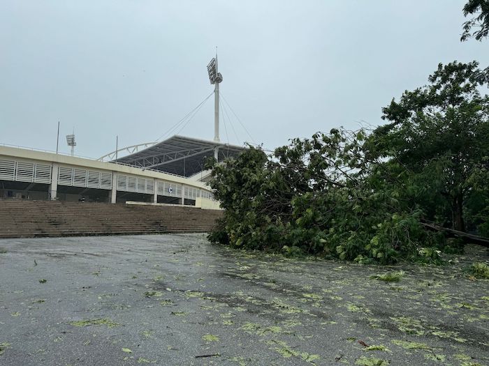 After storm No. 3 Yagi, some trees in the My Dinh stadium campus fell.