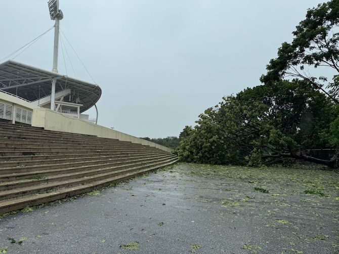 The fallen tree blocked the path from the main gate to stands A and C.