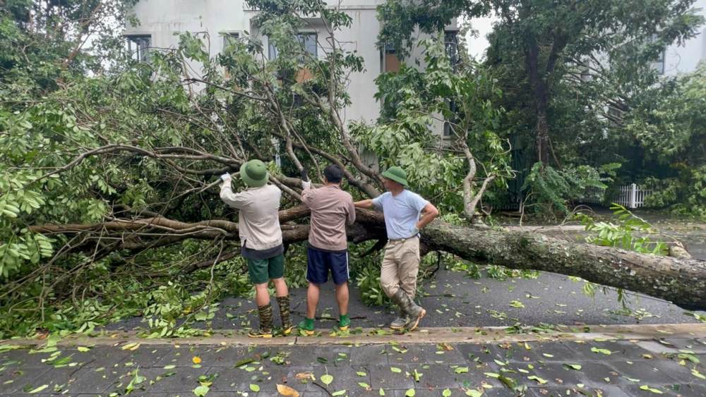 Nghệ sĩ Xuân Bắc và 2 con trai dọn dẹp cây đổ ở khu phố. Ảnh: Facebook nhân vật