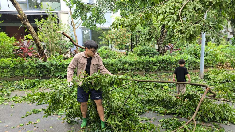 Bi Beo enthusiastically cleaned up broken branches with the locals. Photo: Facebook character