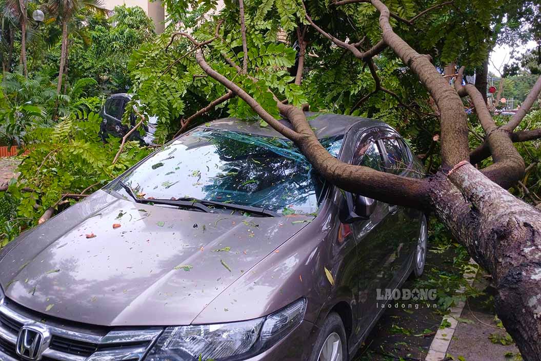 Tại khu vực đường Nguyễn Khuyến, quận Hà Đông, nhiều cây xanh bị gẫy đổ, đè lên ôtô đỗ ven đường.