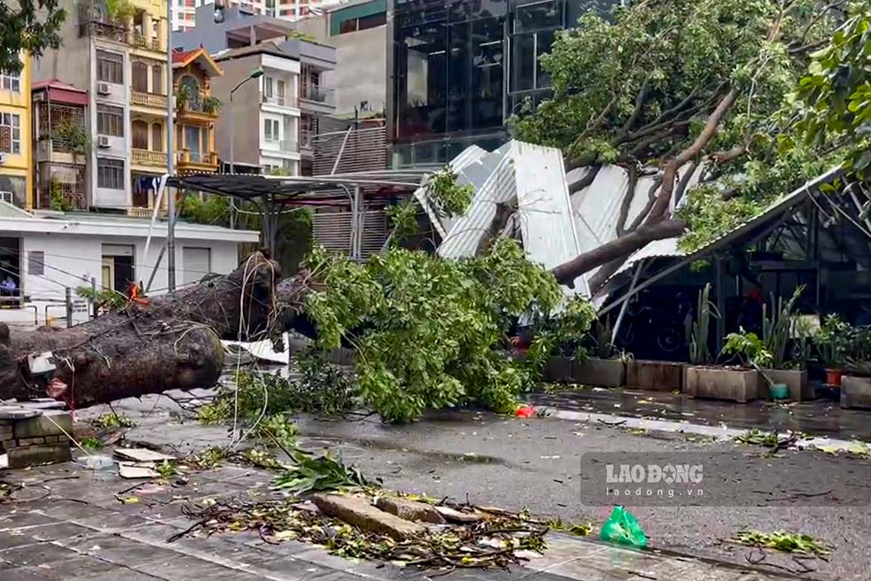 Ngày 8.9, theo ghi nhân của Lao Động hàng loạt phương tiện ôtô, cửa hàng của người dân bị thiệt hại sau bão số 3