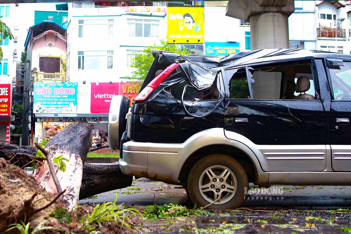 On Ho Tung Mau Street, a series of trees were also broken, causing serious damage to people and vehicles.